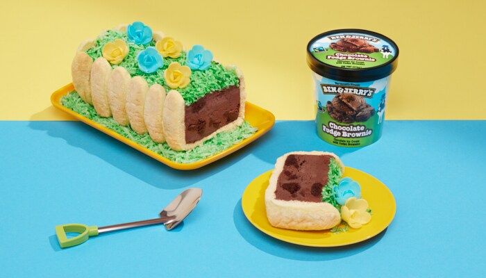 Spring Garden Ice Cream Cake